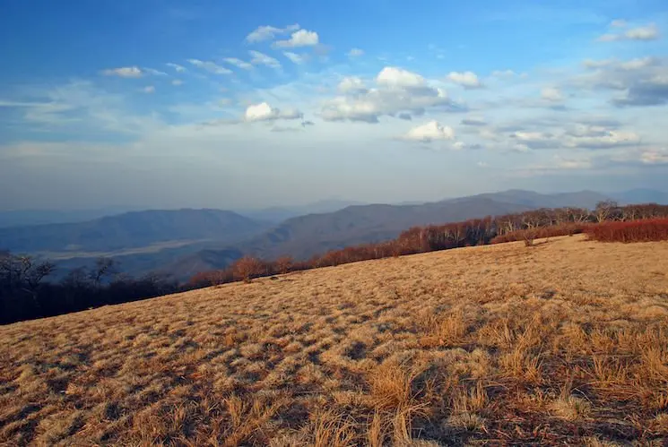 Photo from Smoky Mountains National Park