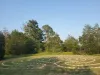 The 7-circuit meditation labyrinth at Star Ranch